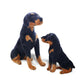 Doudou Chien<br> Rottweiler Gigante 23-55 cm Badyba les meilleurs doudous