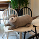 Peluche Loutre Mignonne | Badyba les meilleurs doudous